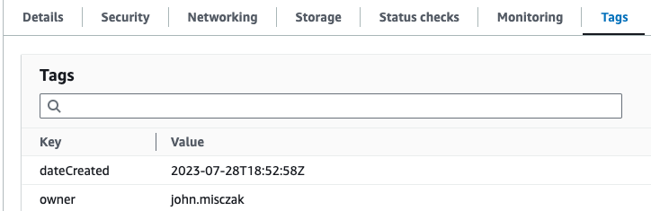 An example of the dateCreated and owner tags applied to an instance